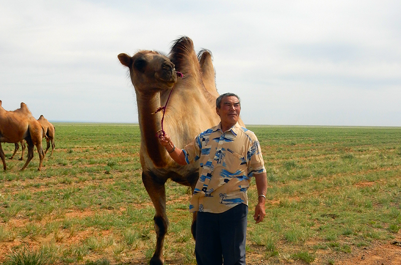 Mongolian camel man